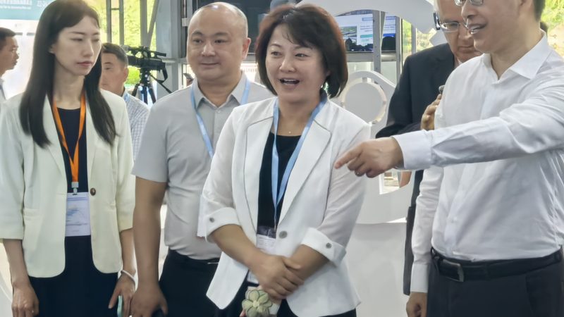 2025年汽车用品品牌格局正在被谁改写